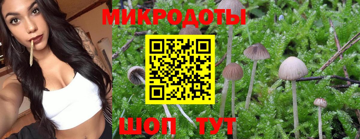 Псилоцибиновые грибы мухоморы  Вход с VPN  Артём  Псилоцибиновые грибы Cubensis 